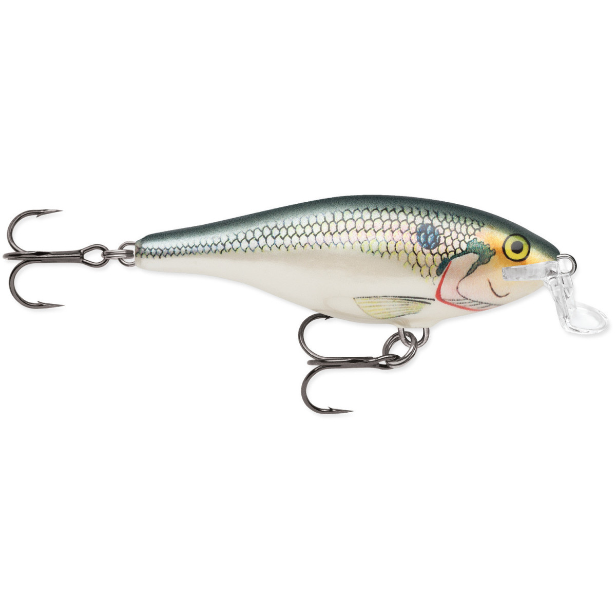 Wobler Rapala Shallow Shad Rap 7cm - SD / Shad