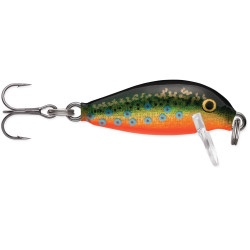 Warianty Wobler Rapala Countdown 2.5cm - BTR / Brook Trout