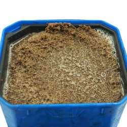 Pellet Osmo 800g - DISC