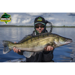 Zestaw zbrojonych gum Westin ShadTeez Slim 10cm - OFFSET MIX