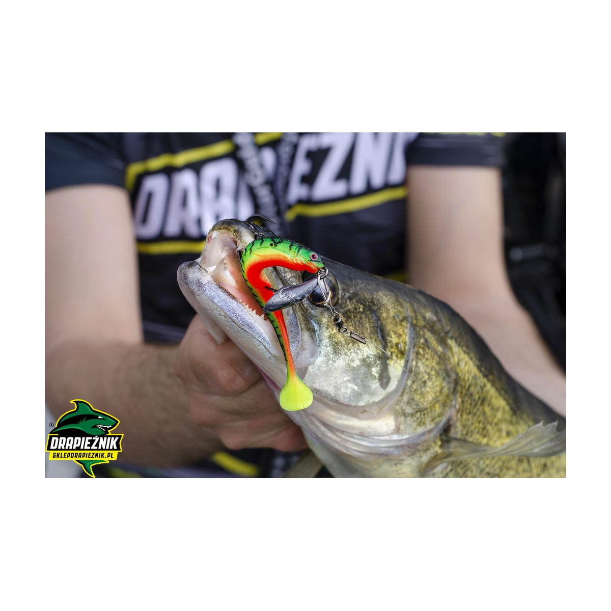 Zestaw zbrojonych gum Westin ShadTeez Slim 10cm - OFFSET MIX