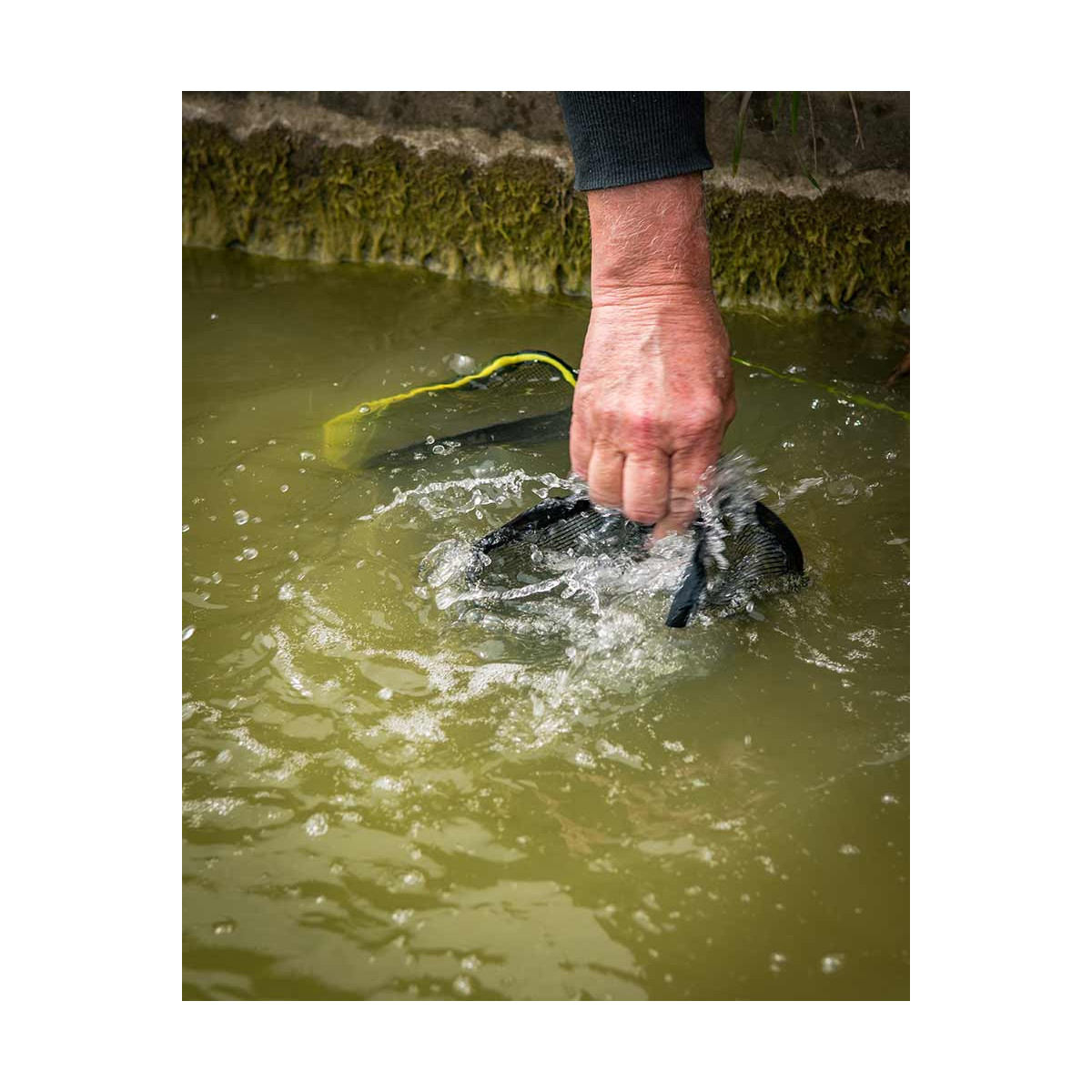 Pojemnik do namaczania pelletu Matrix Pellet Soaker GLU178