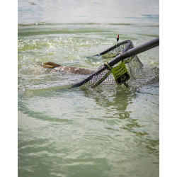 Kosz podbieraka Matrix Carp Latex Landing Net