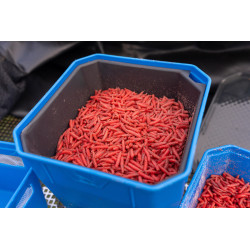 P0260015 Pudełko Preston Bait Tub - 4 Pint / 2.3L