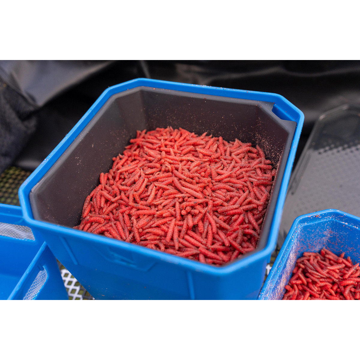 P0260015 Pudełko Preston Bait Tub - 4 Pint / 2.3L