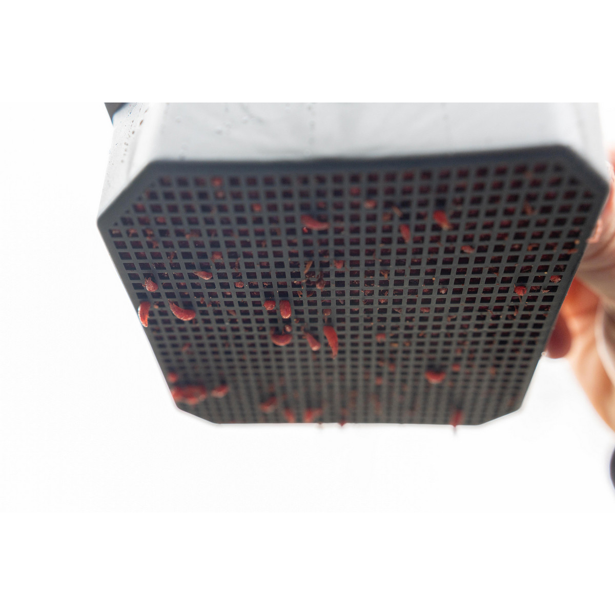 P0260016 Wkładka do pudełka Preston Maggot Riddle - 2 Pint / 1.2L