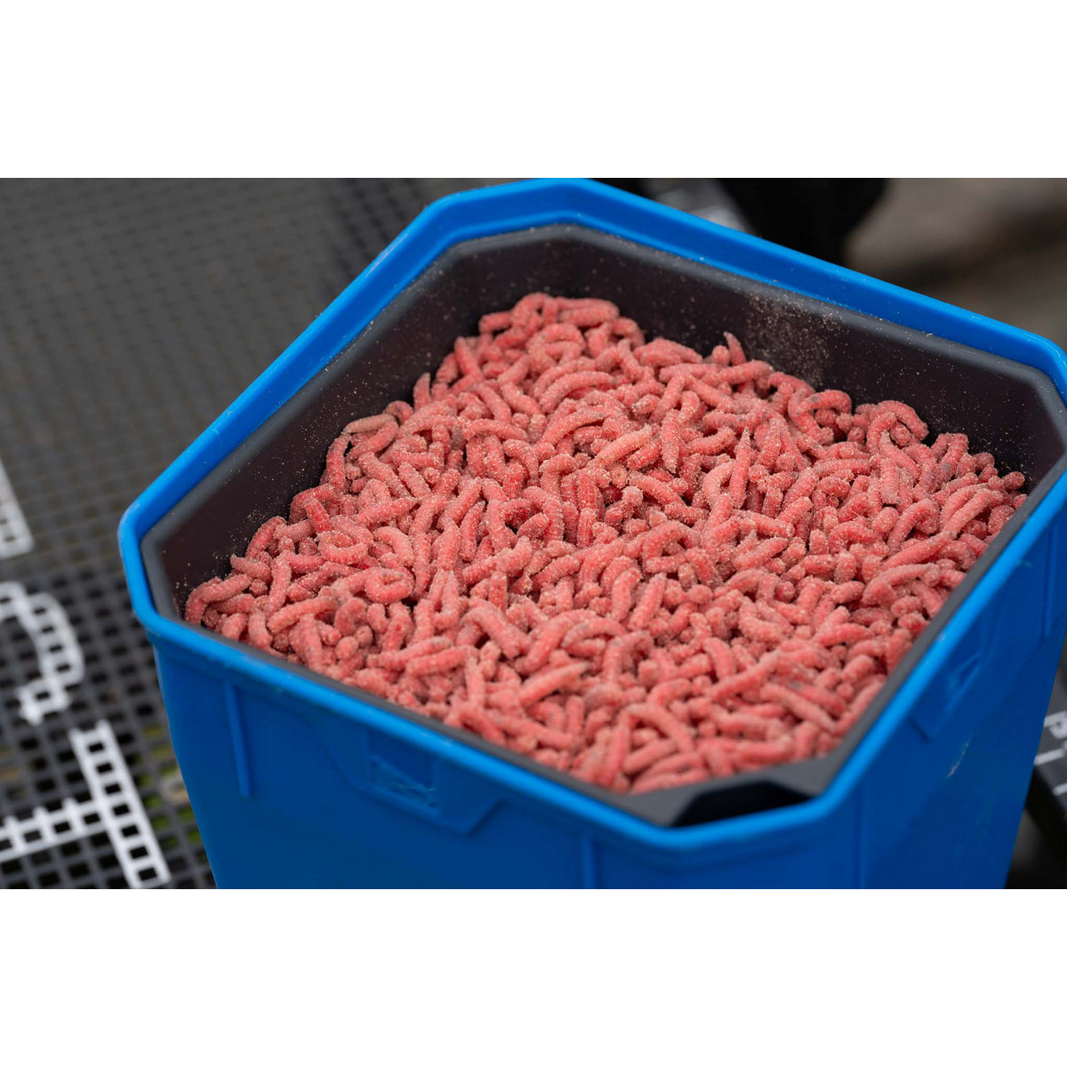 P0260016 Wkładka do pudełka Preston Maggot Riddle - 2 Pint / 1.2L