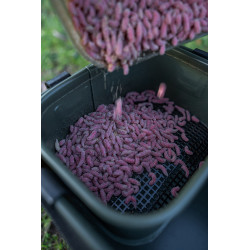 K0290111 Zestaw organizerów Korum EVA Bat Station