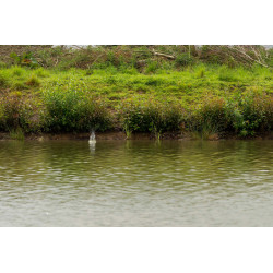 Koszyk Preston ICS In-Line Dura Flat Method Feeder // Medium