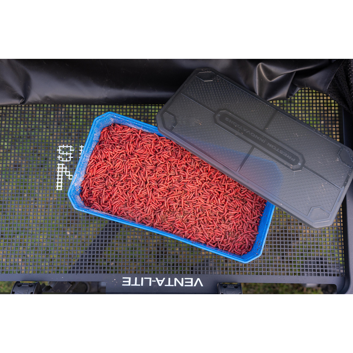 Pudełko Preston Bait Tub - 6 Pint / 3.4L