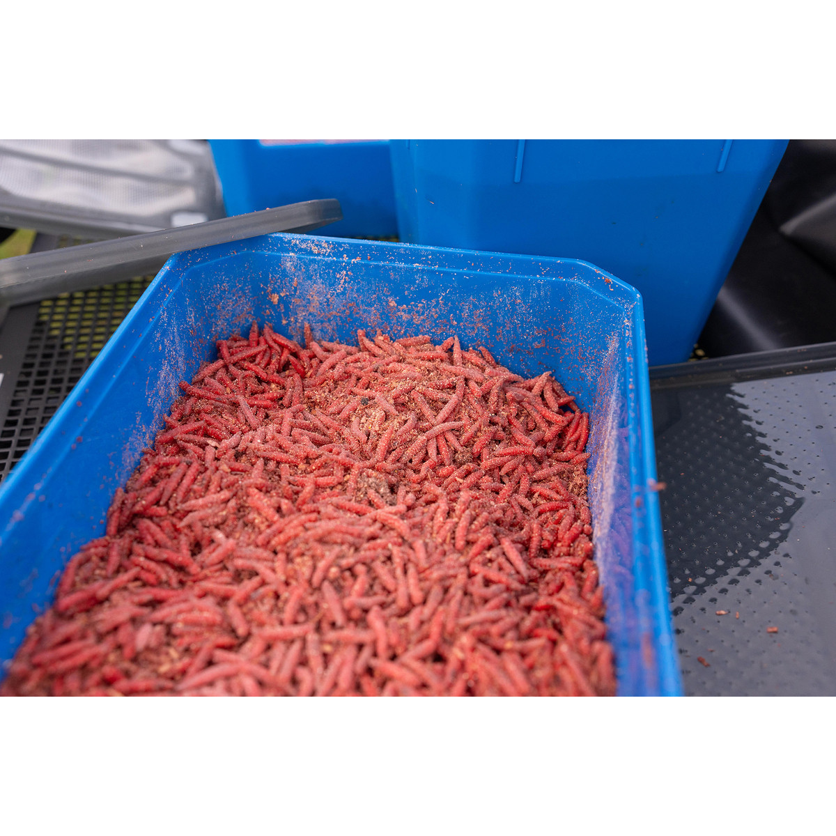 Pudełko Preston Bait Tub - 6 Pint / 3.4L