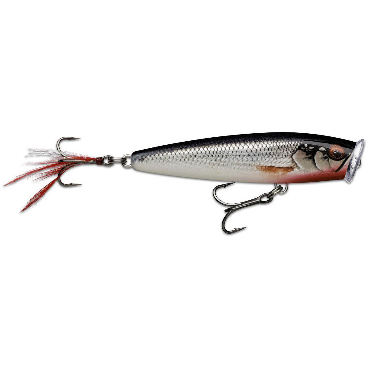 Wobler Rapala Skitter Pop Elite 7.5cm - GDROL / Gilded Live Roach