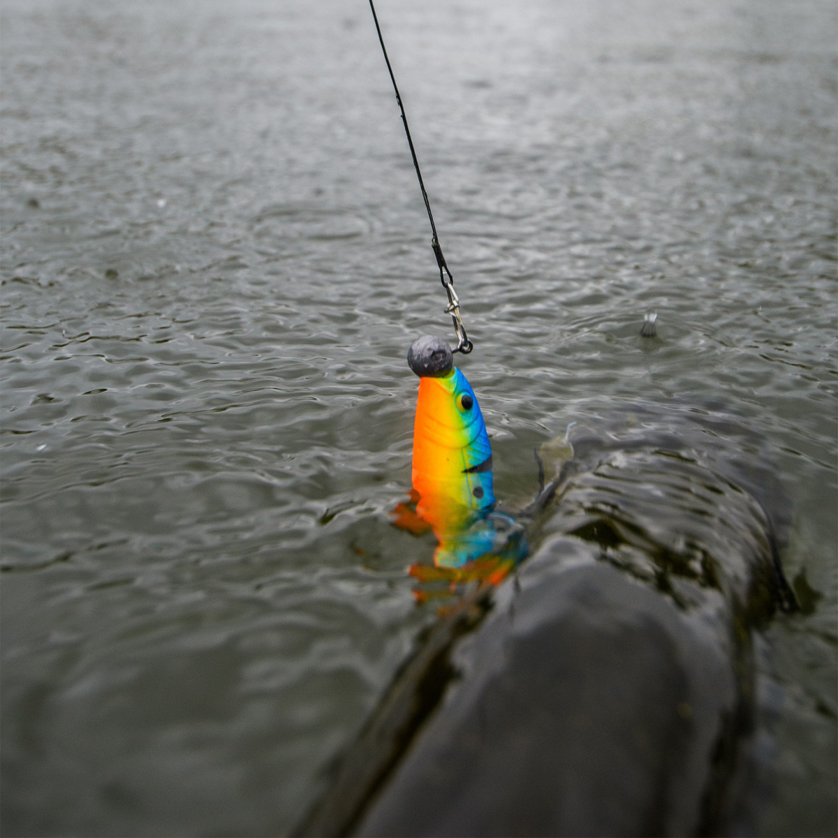 Guma Savage Gear Cannibal Angry Dot