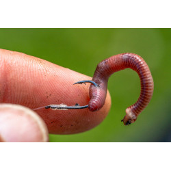 Haczyki Preston Natural N-60 Hooks