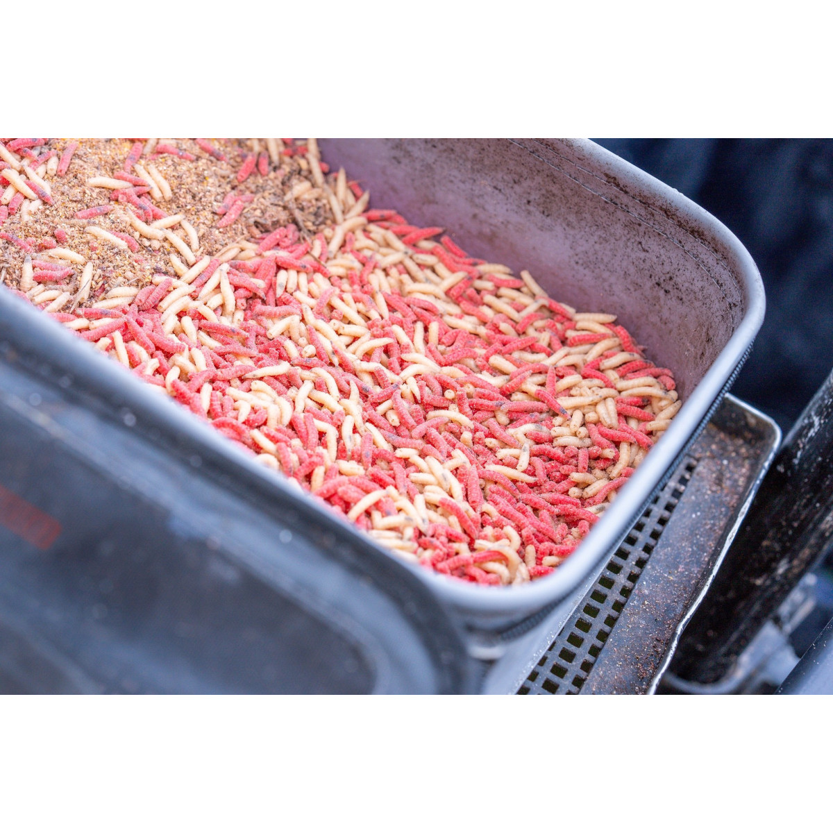 Zestaw pojemników Guru Fusion Ventilator Combo 5 - GLG049