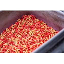 Zestaw pojemników Guru Fusion Ventilator Combo 5 - GLG049