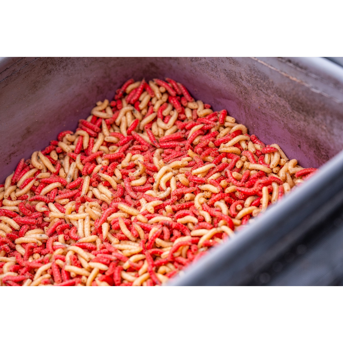 Zestaw pojemników Guru Fusion Ventilator Combo 5 - GLG049