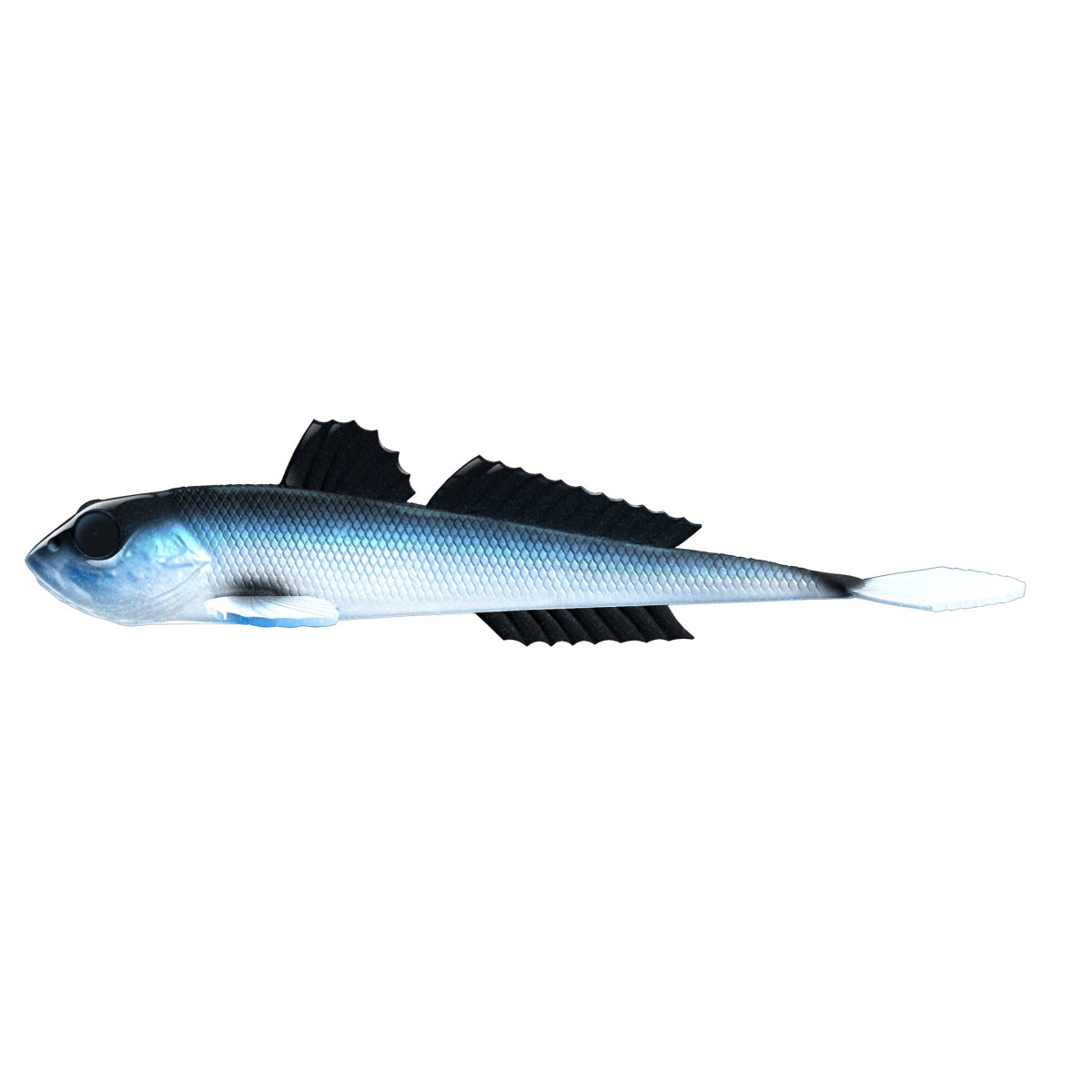 Libra Lures Gobio 7.3'' 18.6cm - 003 / BLUE WHITEFISH