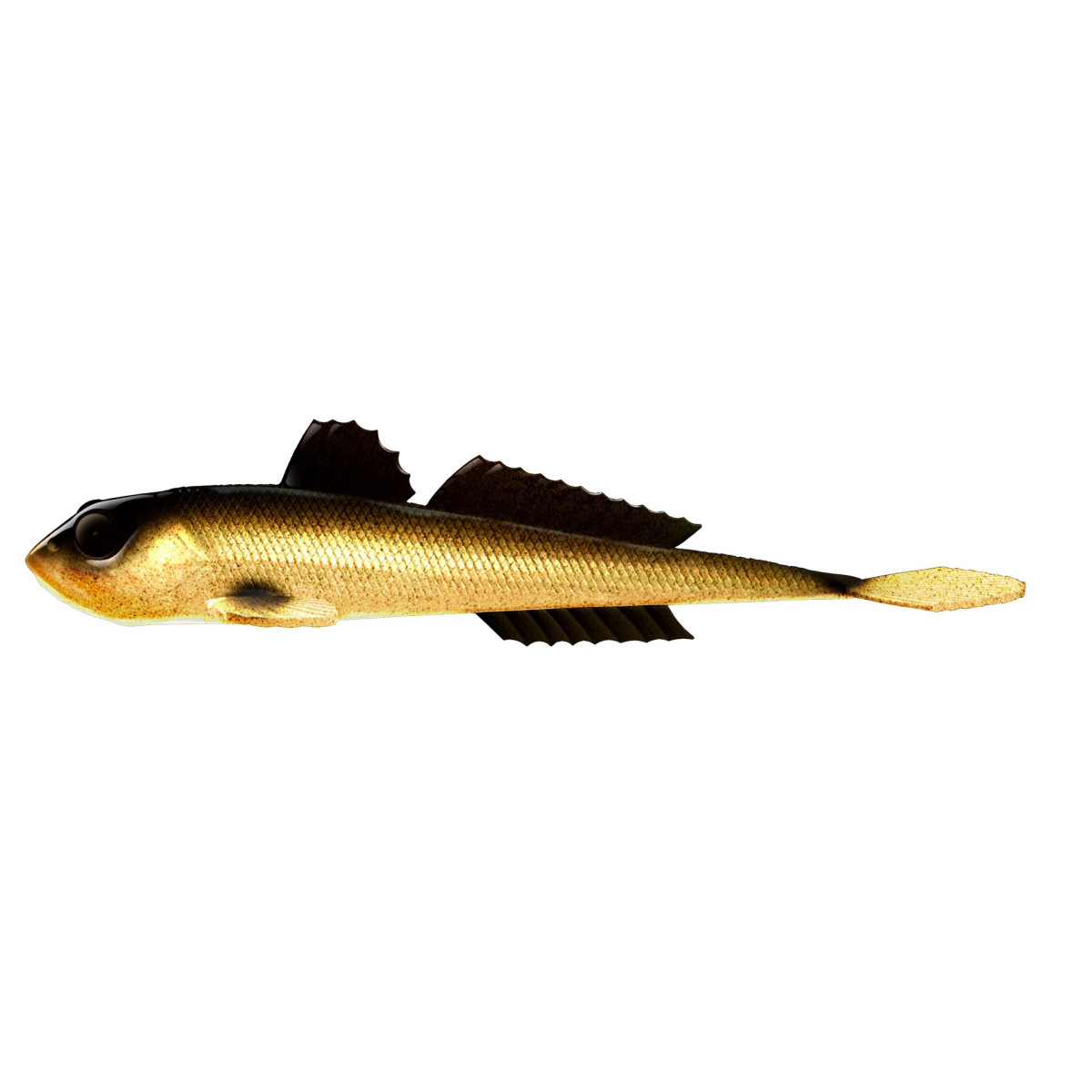 Libra Lures Gobio 7.3'' 18.6cm - 009 / GOLD