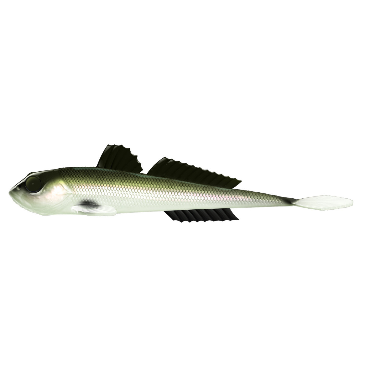 Libra Lures Gobio 7.3'' 18.6cm - 031 / OLIVE WHITEFISH