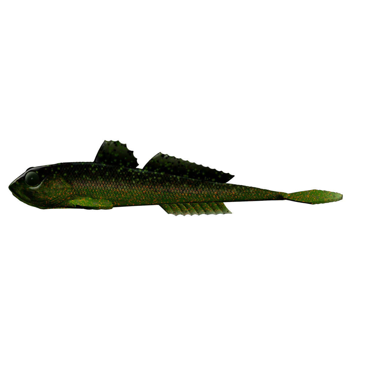 Libra Lures Gobio 7.3'' 18.6cm - 132 / MOTOR OIL GREEN