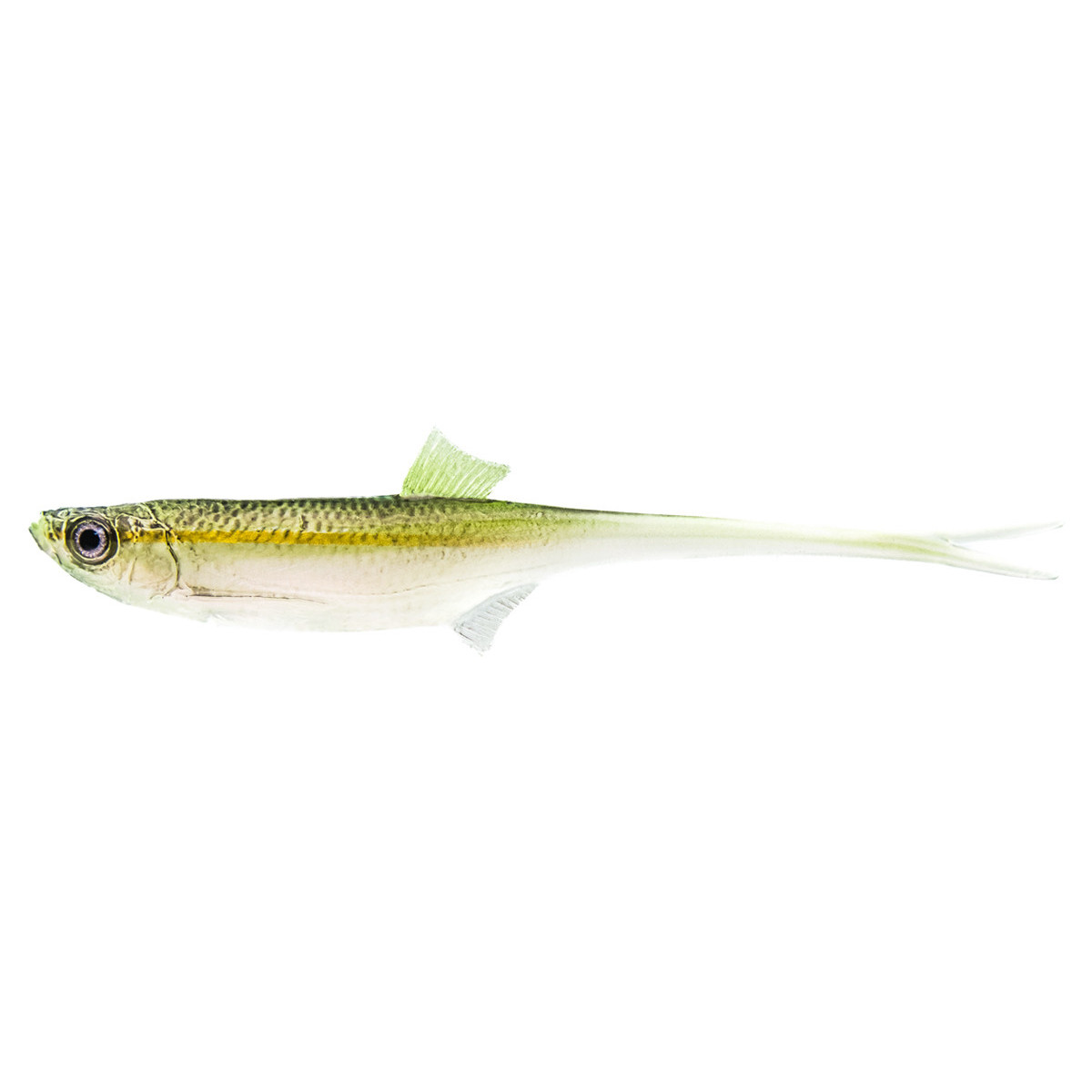 Guma Angry Lures Bleak V-Tail 15cm - WGY