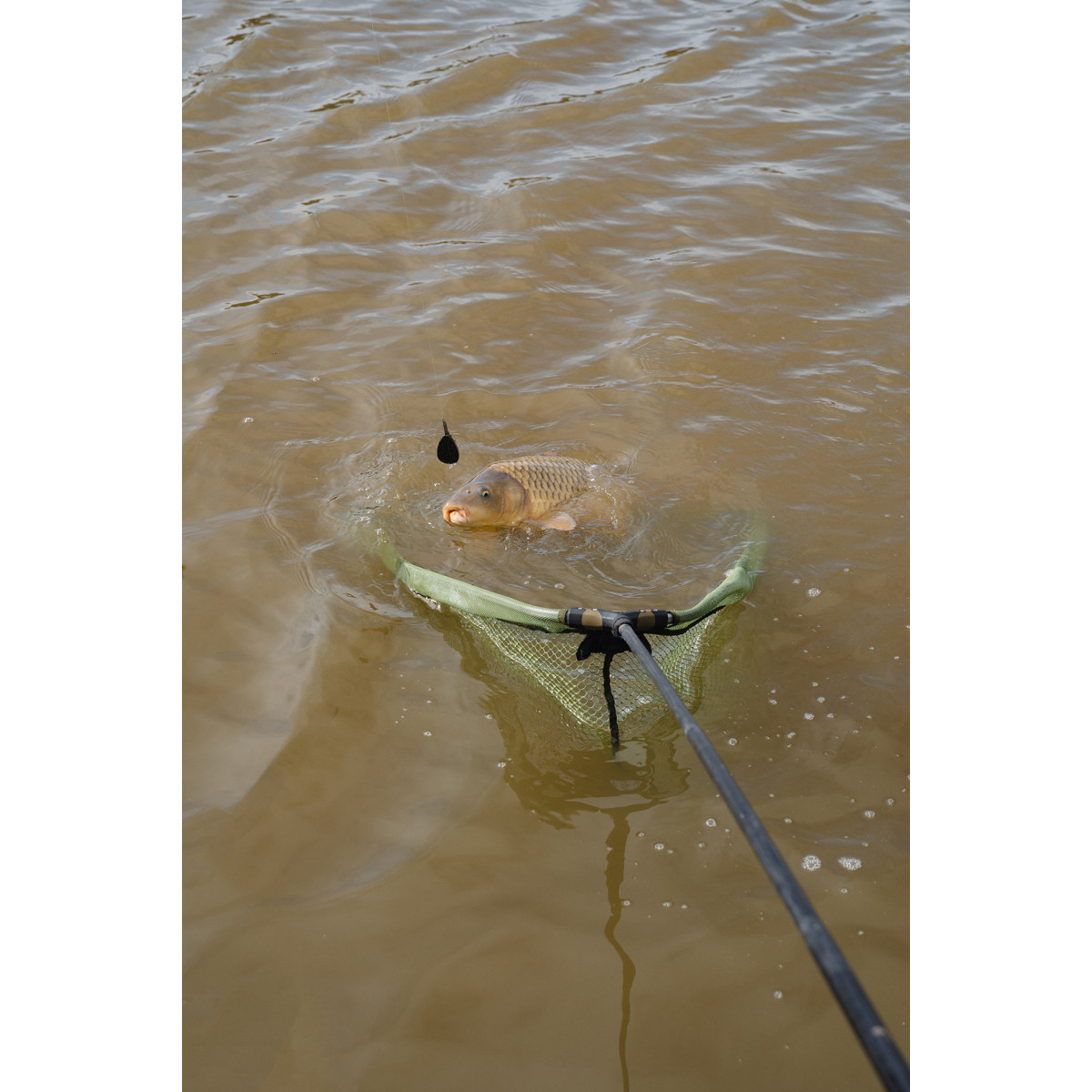 Kosz podbieraka Korum Power Folding Triangle Latex