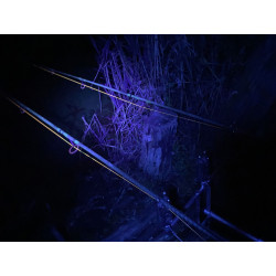 Latarka czołowa Anaconda Vipex UV Blacklight 2048185