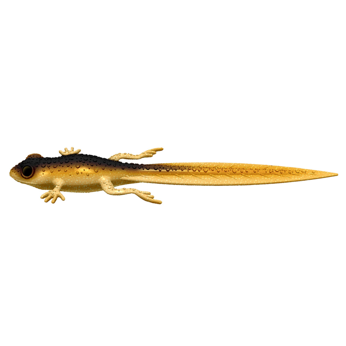 Libra Lures Frog Tadpole Tail 8.2'' 21cm - 009 / GOLD