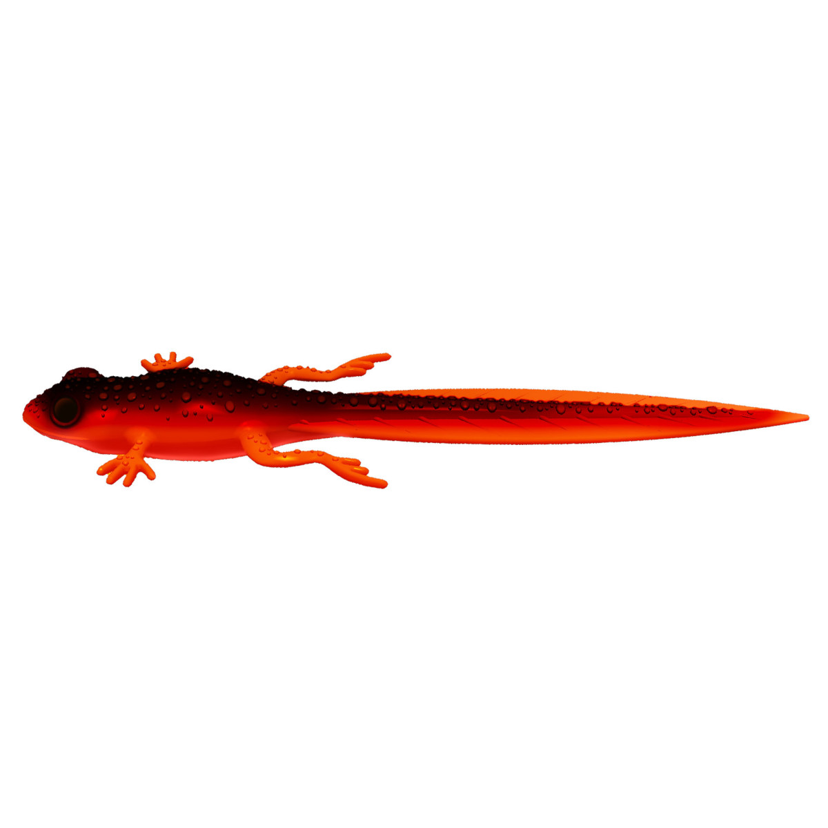 Libra Lures Frog Tadpole Tail 8.2'' 21cm - 011 / HOT ORANGE