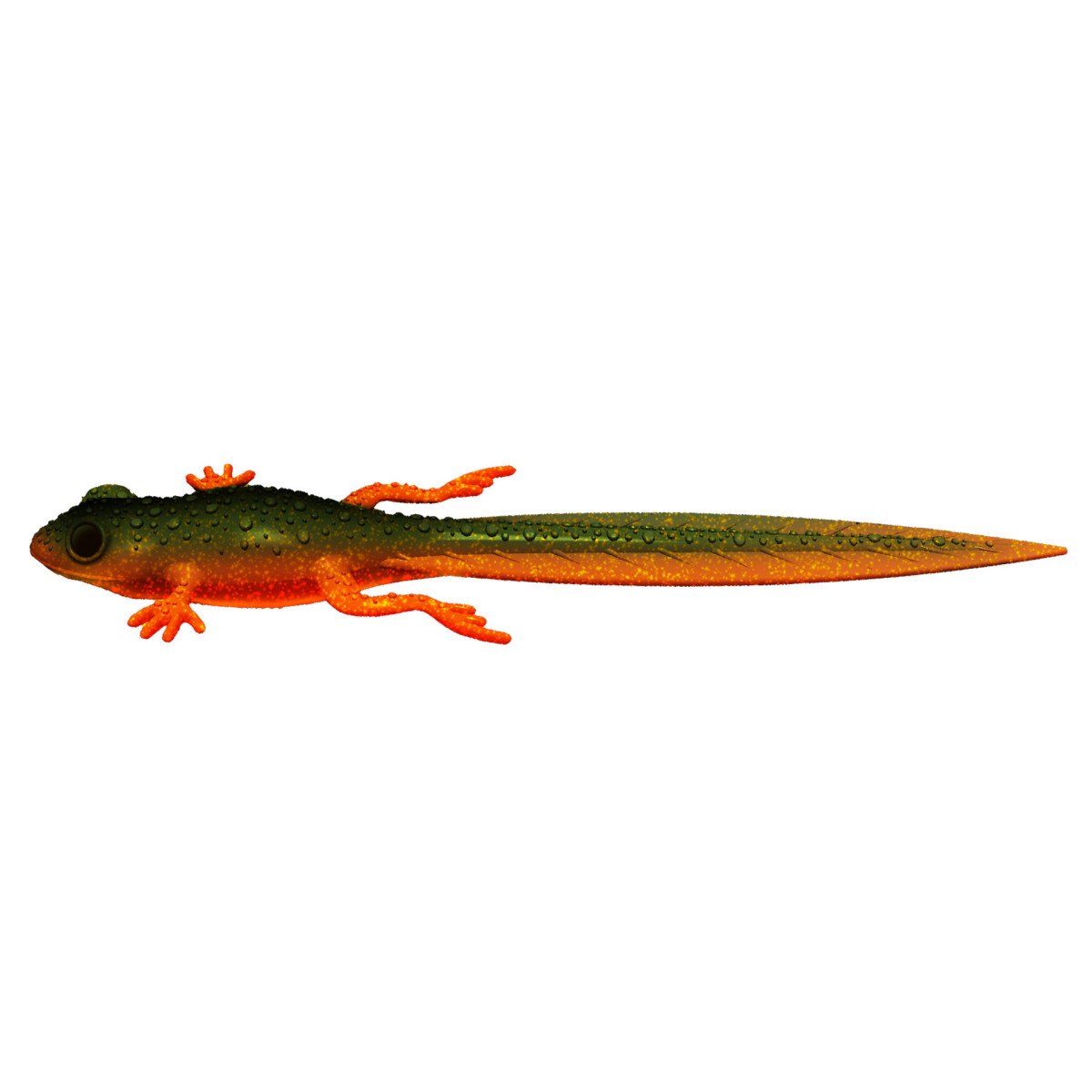 Libra Lures Frog Tadpole Tail 8.2'' 21cm - 111 / ANGRY CARROT