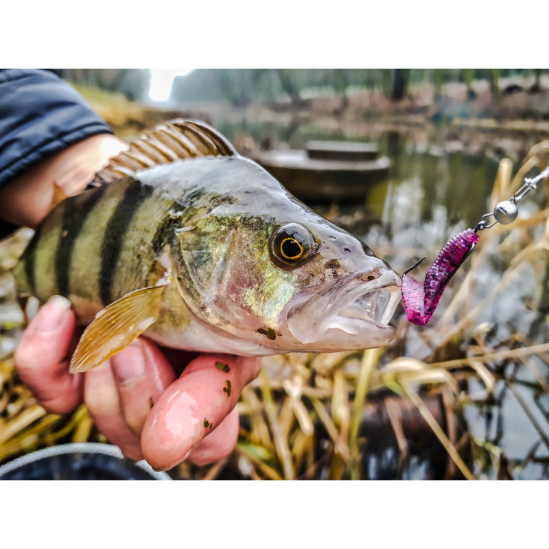 Gumy Perch Professor F**king Leech