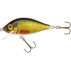 VU-KA9FPG Wobler Jaxon Holo Select Karaś UV 9,0cm - PG