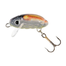 VJ-SH03FKT Wobler Jaxon Holo Select Chrabąszcz Smużak 3,0cm - KT