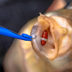 P0220174 Narzędzie Preston Bander/Disgorger Twin Pack