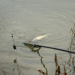 K0380046 Sztyca Korum Limitless Power Handle - 4.0m