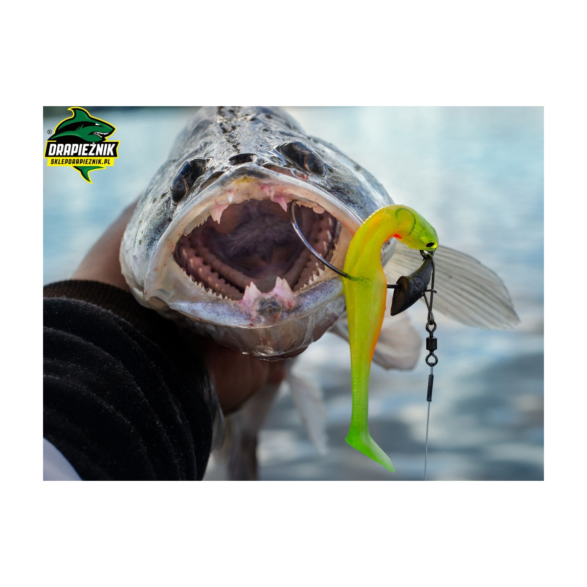 Zestaw zbrojonych gum Westin ShadTeez Slim 10cm - OFFSET MIX