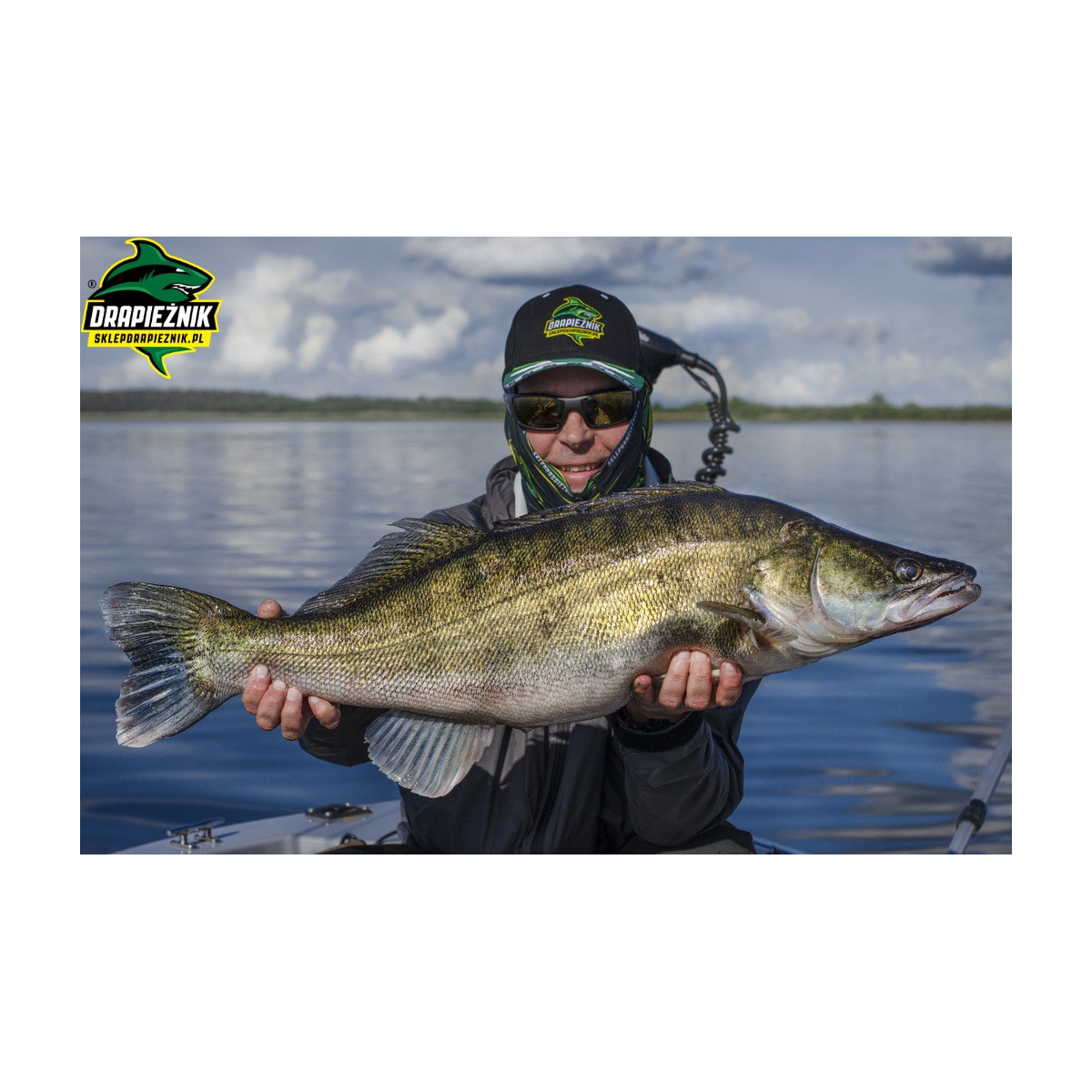 Zestaw zbrojonych gum Westin ShadTeez Slim 10cm - OFFSET MIX