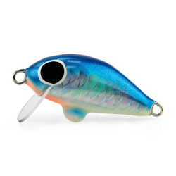 Wobler z Basonii Tomasz Janeczek - Kleniowy 3.5cm - 26