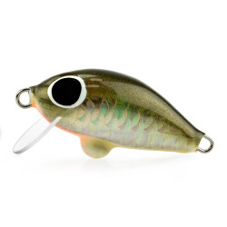 Wobler z Basonii Tomasz Janeczek - Kleniowy 3.5cm - 27