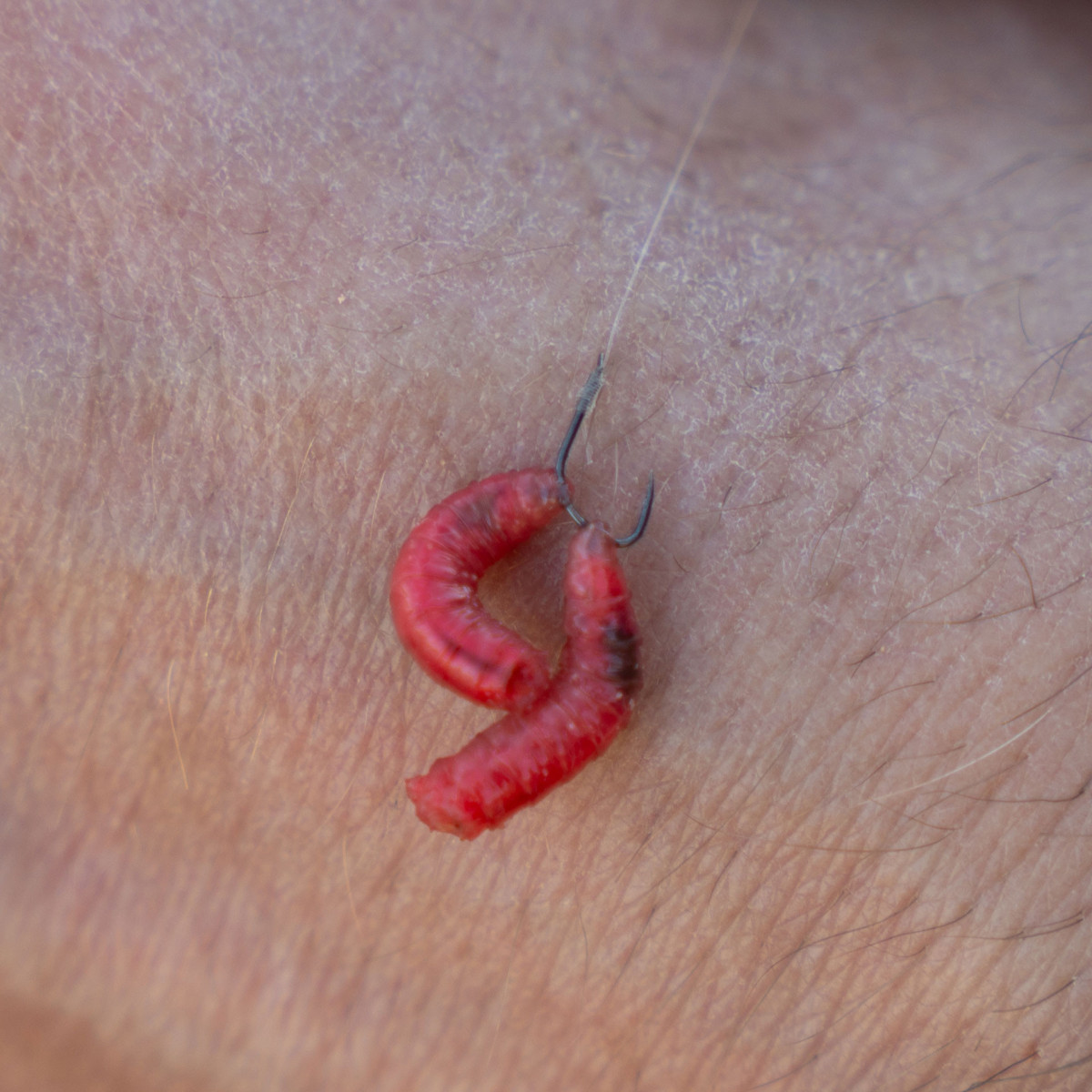 GHK173 Haczyki Matrix X2 Commercial F1