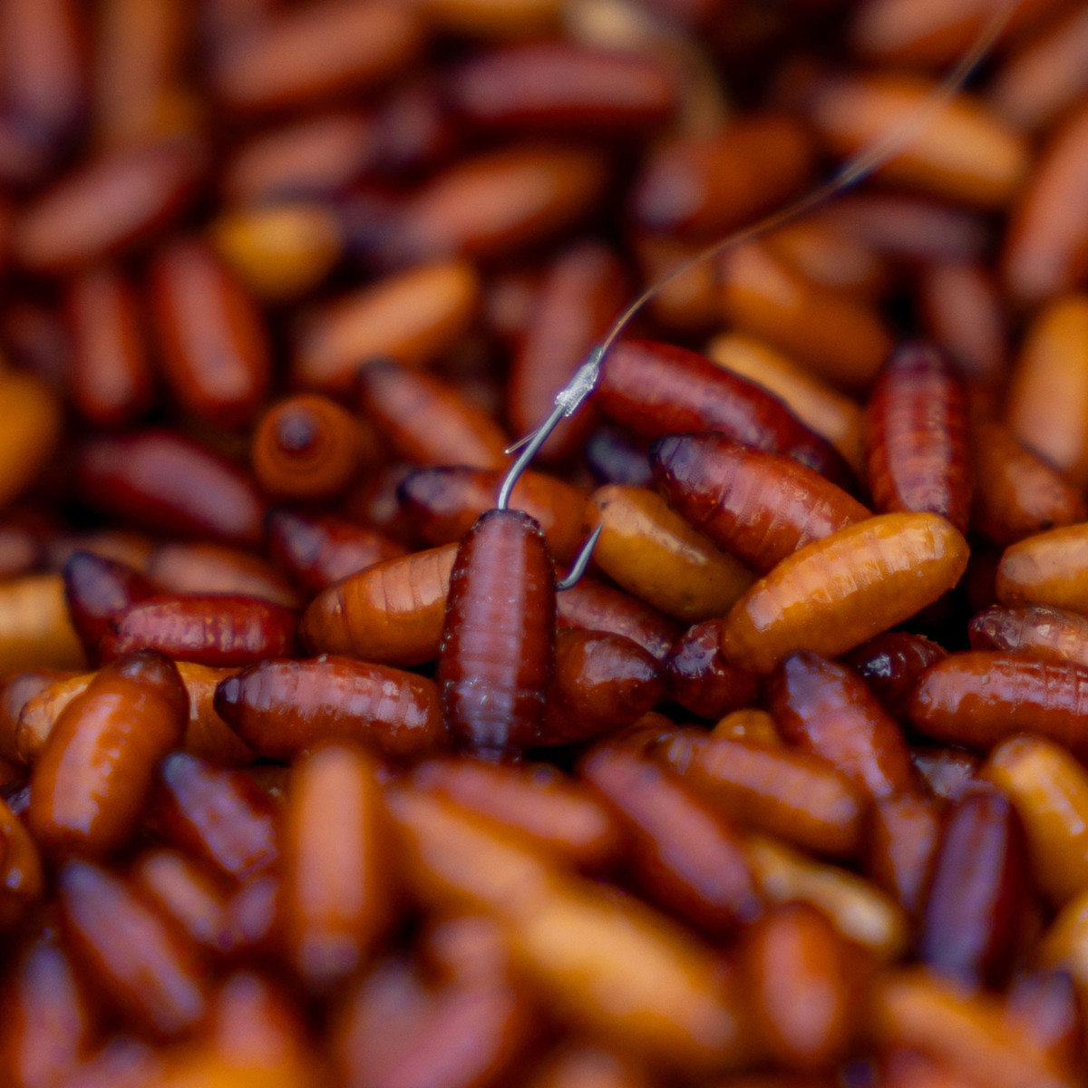 Haczyki Matrix X4 Commercial Silvers