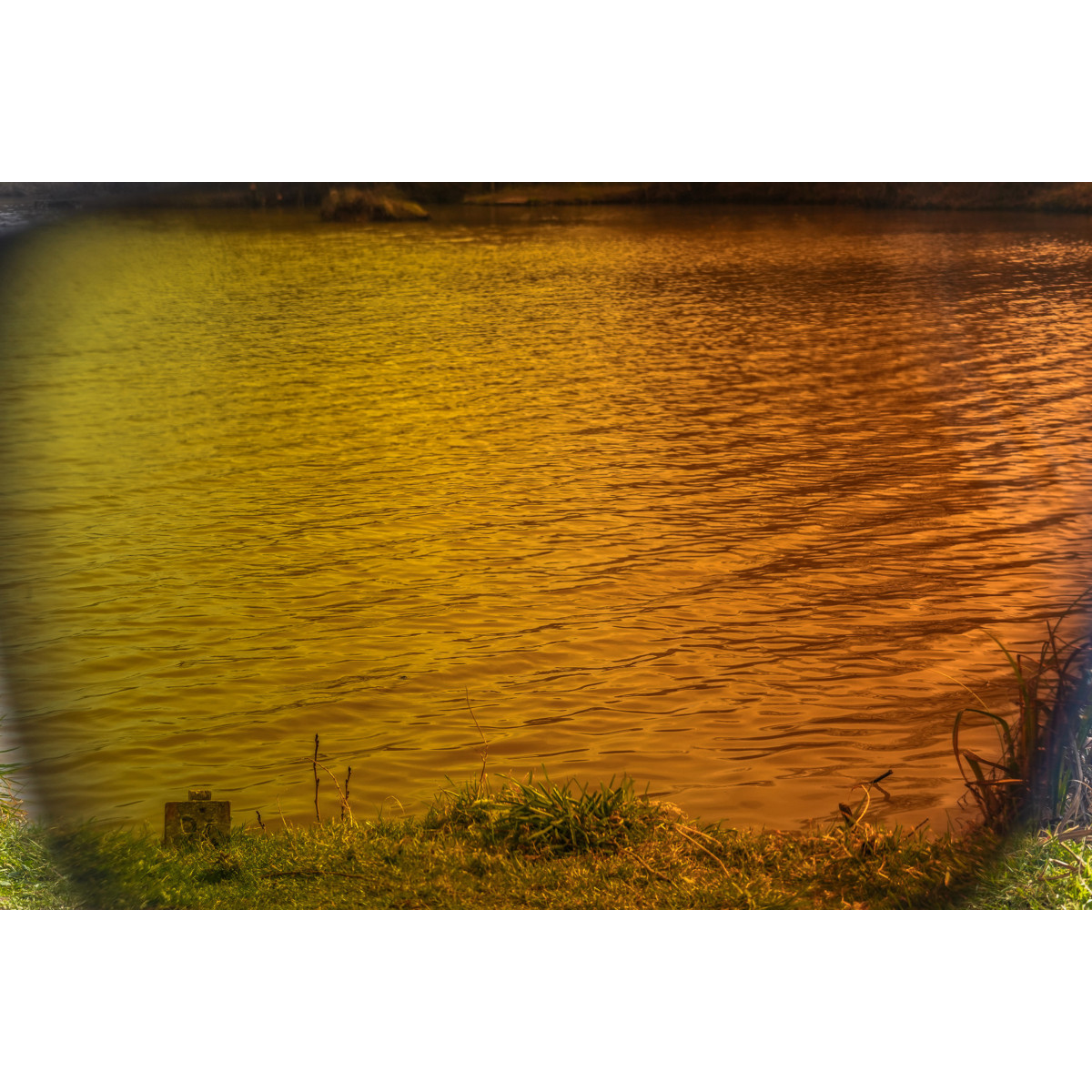 Okulary Preston Absolute Wrap Sunglasses - Amber Brown