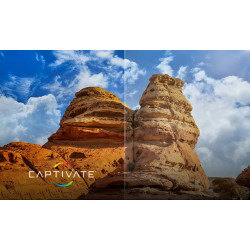 Okulary Wiley X Captivate - APEX