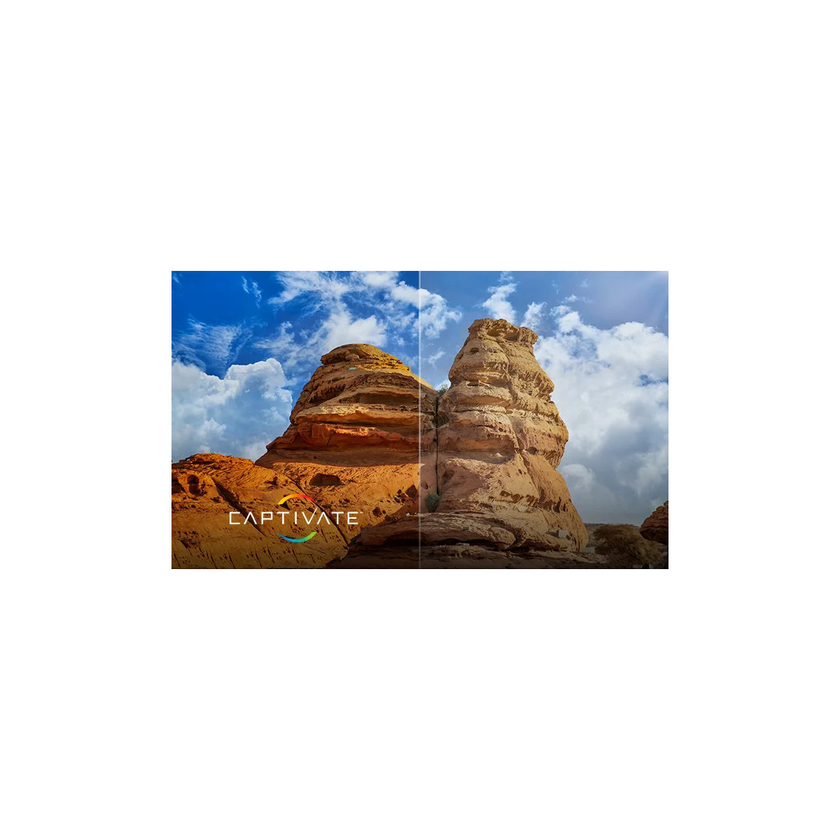 Okulary Wiley X Captivate - APEX