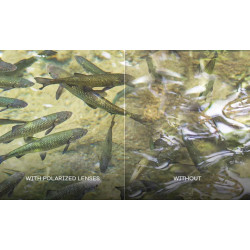 Okulary Wiley X Captivate - AXE