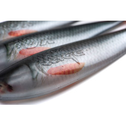 Fox Rage Zander Pro Shad - Ultra Natural Roach