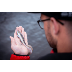 Fox Rage Pro Grub - UV Glitter Perch