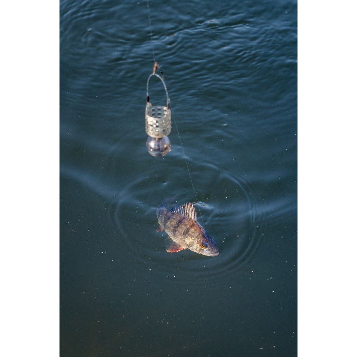 Koszyk Korum Slow Sinking Feeder