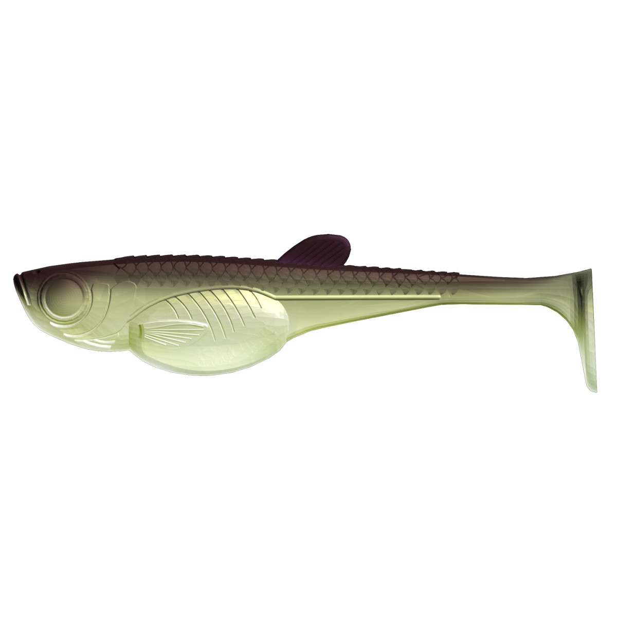 Libra Lures Embrion Shad  - 031 / OLIVE WHITEFISH